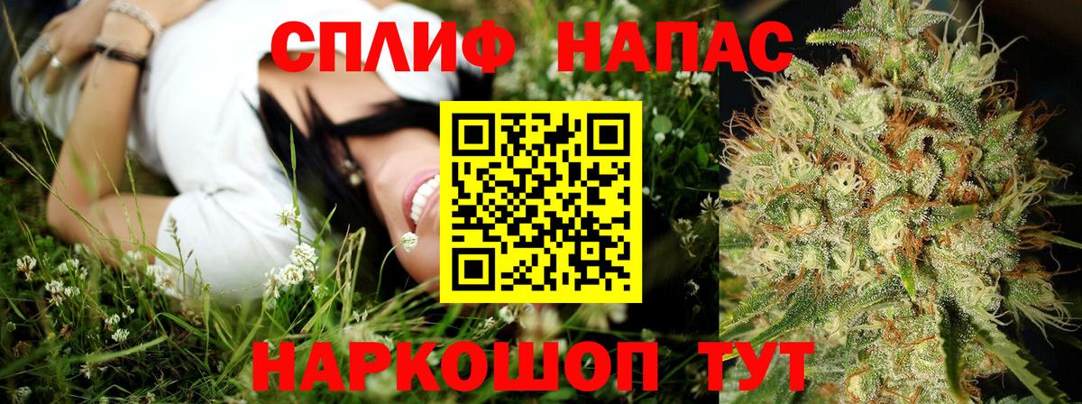 Конопля конопля  Вход с VPN  МАРИХУАНА Bruce Banner  Конопля Bruce Banner  Марихуана гибрид  Самара 